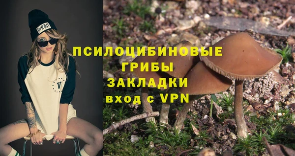 стаф Новокубанск