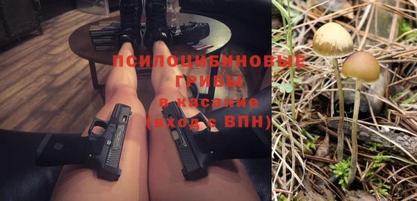 стаф Новокубанск