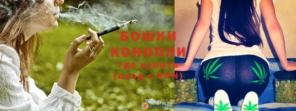 стаф Новокубанск