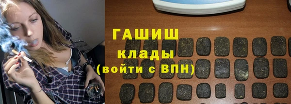 стаф Новокубанск