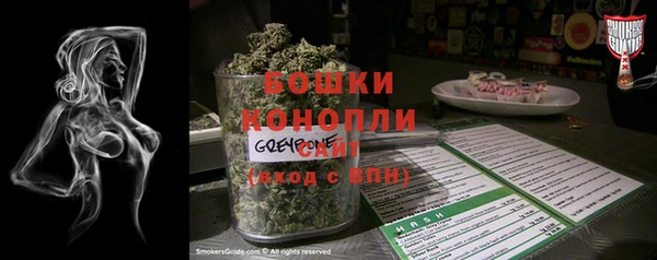 стаф Новокубанск