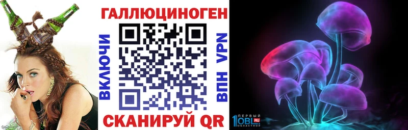 Псилоцибиновые грибы Psilocybe Моршанск